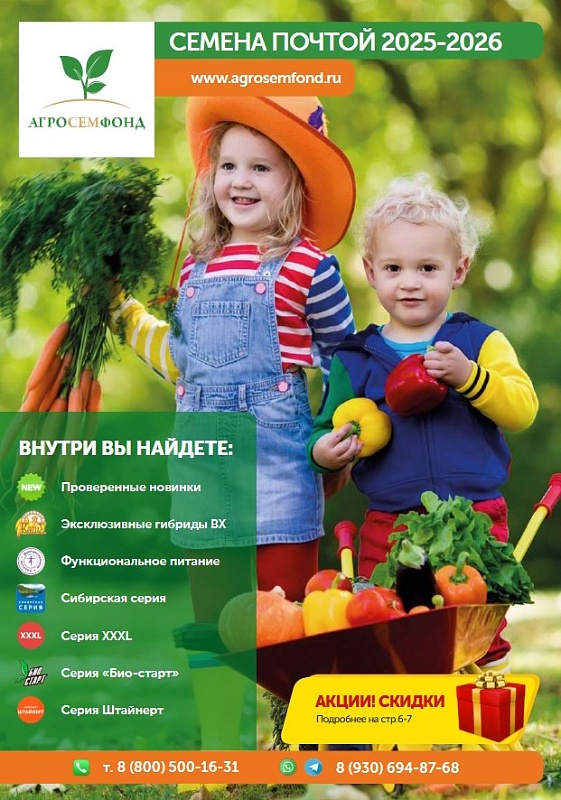 Каталог семена