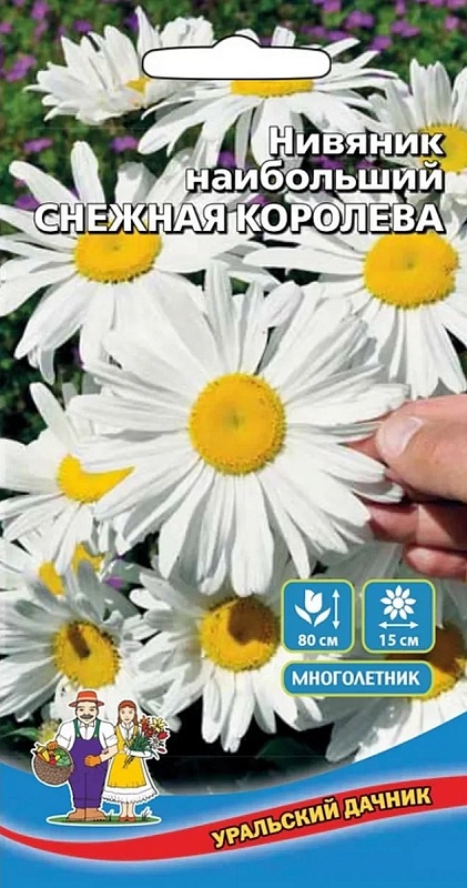 Нивяник наибольший Снежная королева (УД) 0,15 гр цв п