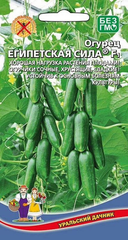 Огурец Египетская сила (УД) 10 шт цв п