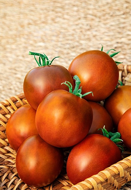 Томат Дастархан (Селекция "ВХ") 0,05 гр цв.п.