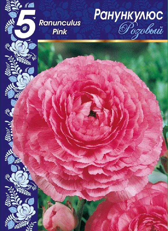 Ранункулюс Розовый 1 уп. (5 шт.)