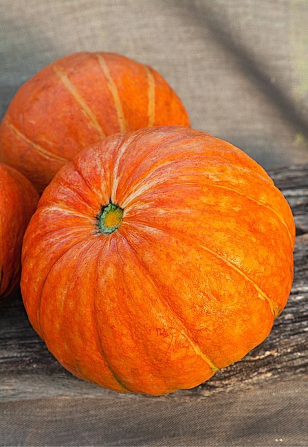 Тыква крупноплодная Конфетка 2 гр цв.п