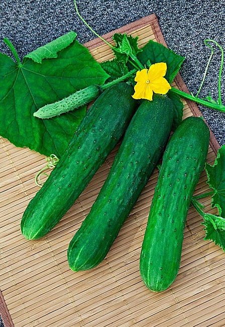 Огурец АПРЕЛЬСКИЙ F1 и Шпинат КУРАЖ