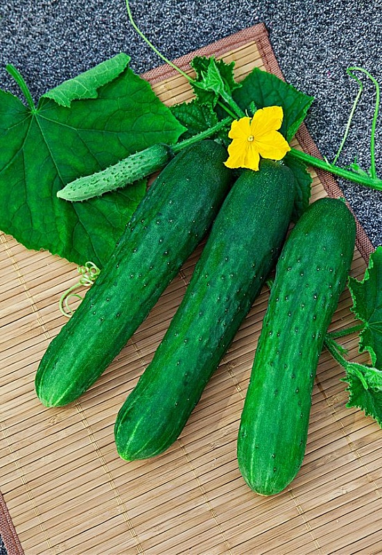 Огурец АПРЕЛЬСКИЙ F1 и Шпинат КУРАЖ