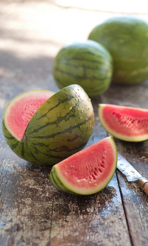 Арбуз Память Холодова (УД) 10 шт цв п 