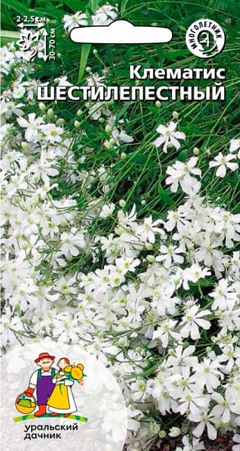 Клематис Шестилепеcтный (УД) 10 шт цв п