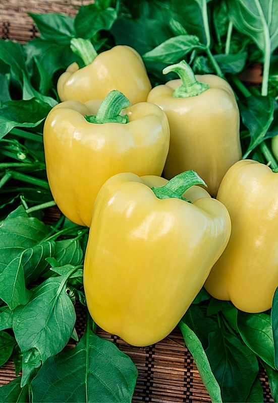 Перец сладкий Громозека F1 (Селекция "ВХ") 0,1 гр. цв.п.