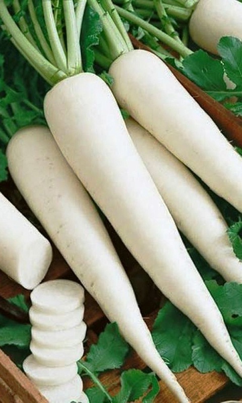 Редька китайская Клык слона (УД) 1 гр цв.п.