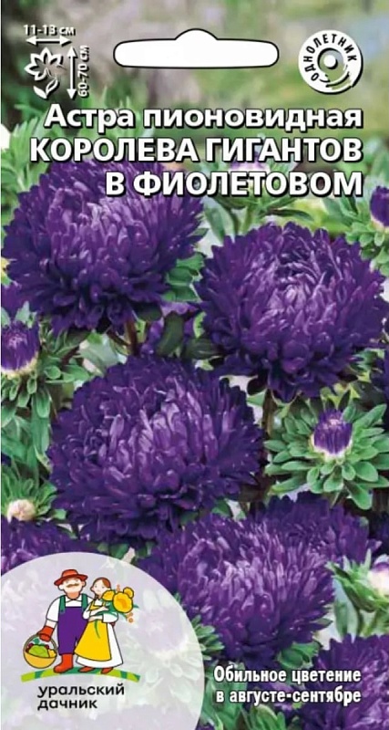Астра пионовидная Королева гигантов в фиолетовом (УД) 0,2 гр цв п
