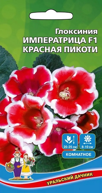 Глоксиния Императрица F1 Красная Пикоти (УД) цв.п  5 шт