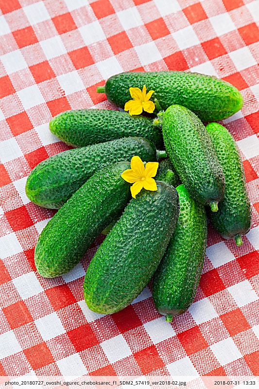 Огурец Чебоксарец F1 0,2 гр цв.п.