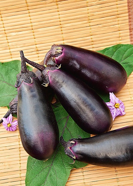 Баклажан Робин Гуд 0,1 гр  цв.п.