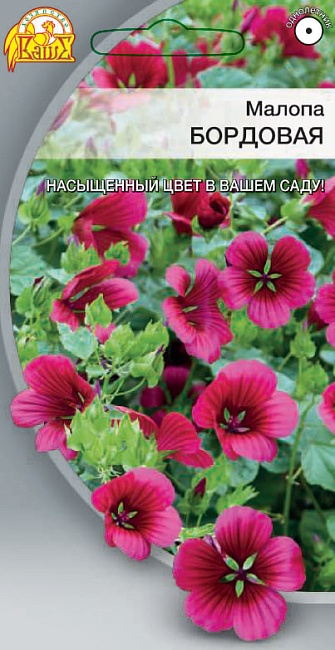 Малопа Бордовая 0,05 гр 