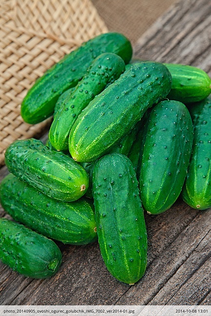 Огурец Дворцовый F1 0,25 гр цв.п (Био-старт)