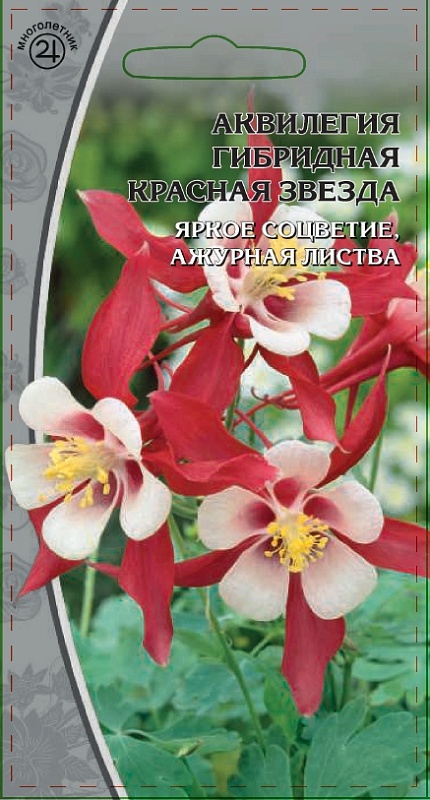 Аквилегия  гибридная  Красная звезда  0,05 гр