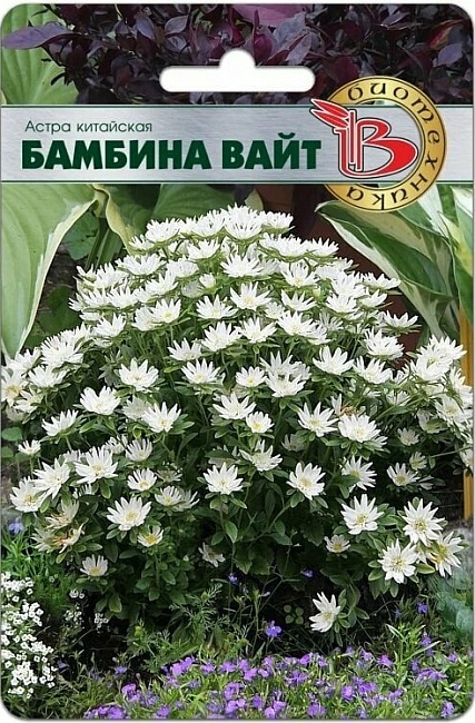 Астра Бамбина Вайт 20 шт