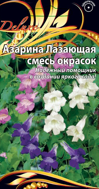 Азарина Лазающая смесь 10 шт