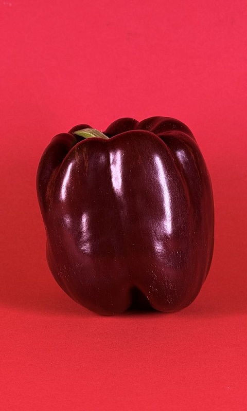 Перец сладкий Гигант шоколадный F1 (УД) 20 шт. цв.п.