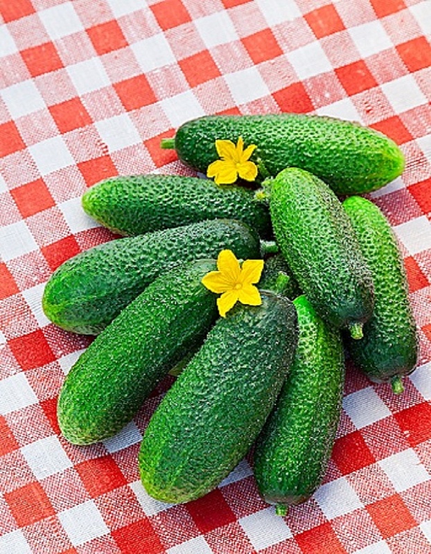 Огурец Чебоксарец F1 0,2 гр цв.п.