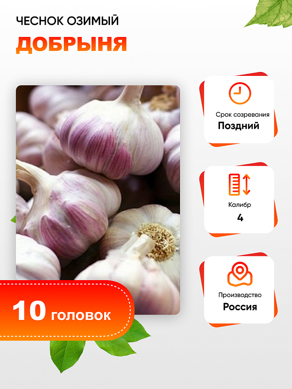 Чеснок Добрыня 1 уп. (10 головок) калибр 4