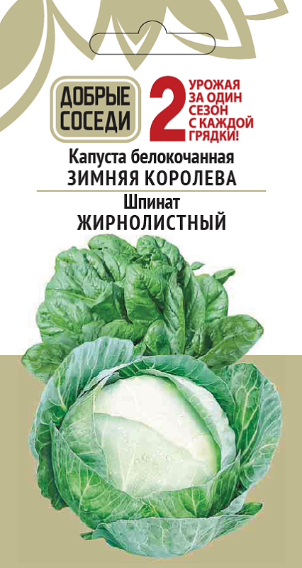 Капуста белокочанная ЗИМНЯЯ КОРОЛЕВА и Шпинат ЖИРНОЛИСТНЫЙ