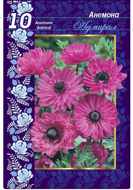 Анемона японская Андреа Аткинсон