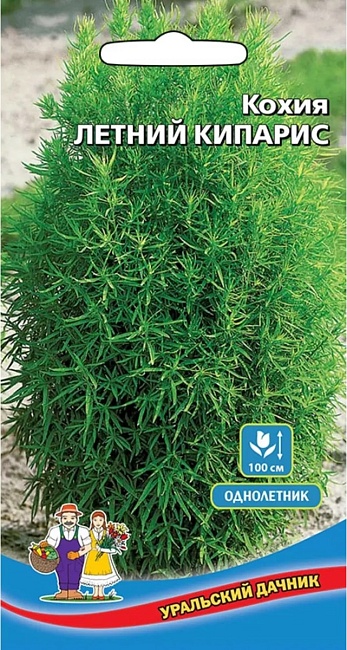 Кохия Летний кипарис (УД) 0,1 гр цв п