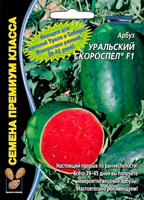 Арбуз Уральский скороспел (УД) 3 шт цв п