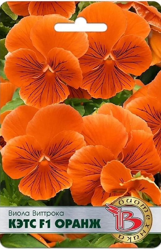 Виола Виттрока Кэтс F1 Оранж 10 шт