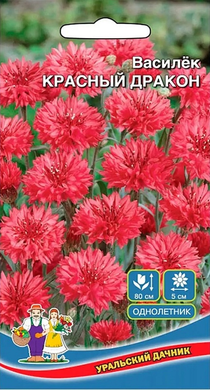 Василек Красный Дракон (УД) 0,2 гр. цв.п
