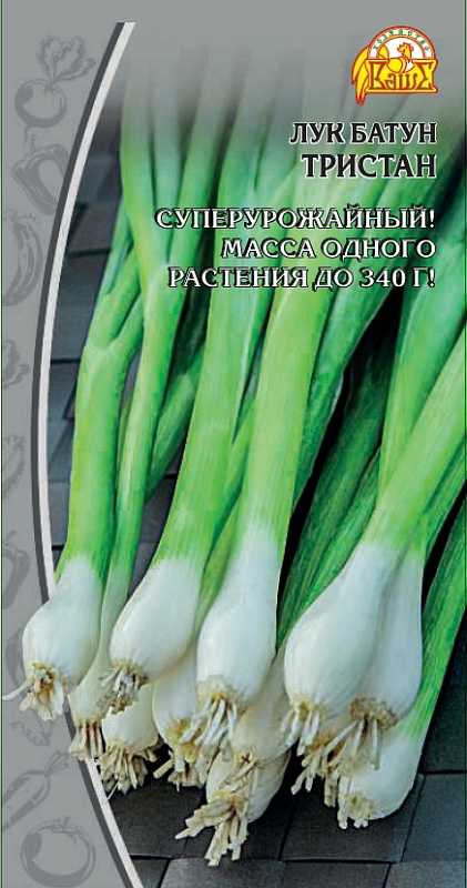 Лук батун Тристан (Селекция "ВХ") 0,5 гр цв.п.