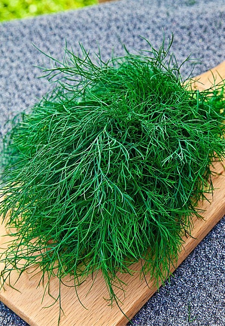 Укроп Аврора 2 гр б.п КЭШБЭК 25%