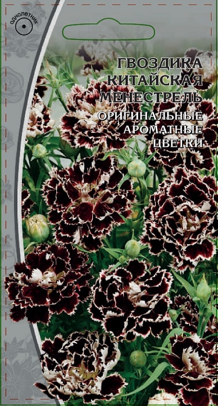Гвоздика китайская Менестрель  0,05 гр