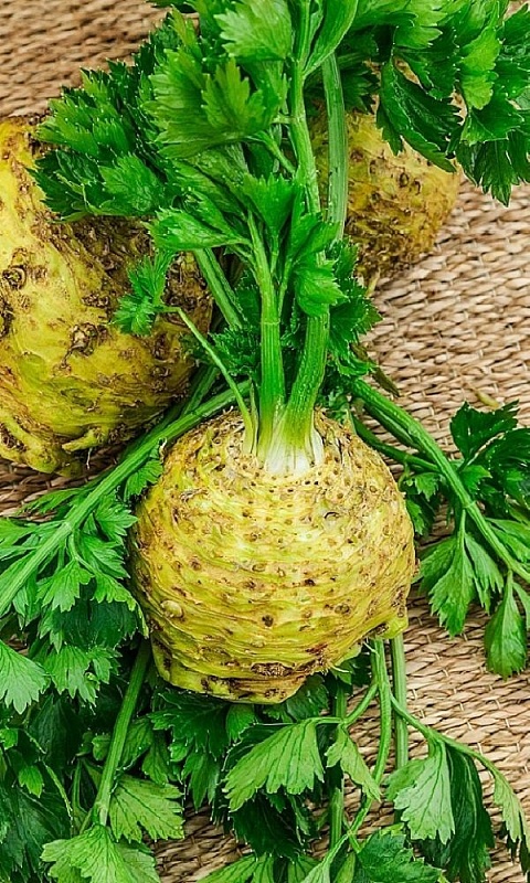 Сельдерей корневой Яблочный  (УД) 0,25 гр цв.п