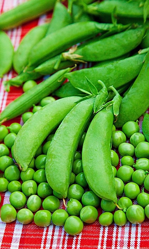 Горох Чудо Кельведона - сахарный (УД) 5 гр цв.п.