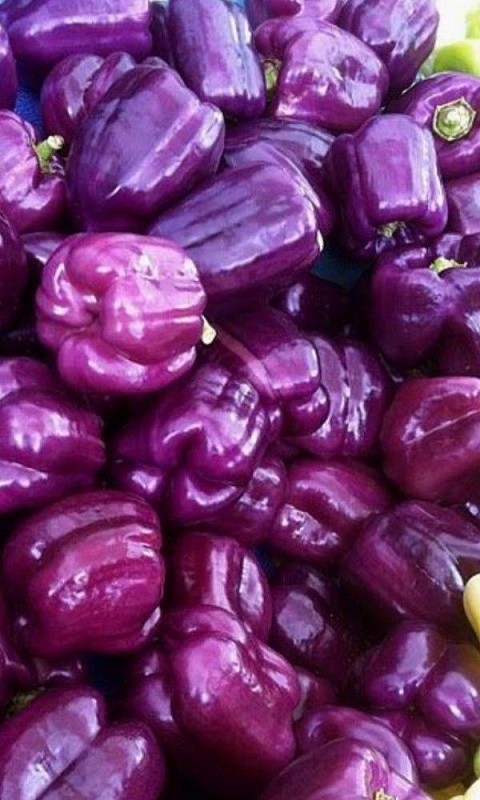 Перец сладкий Гигант фиолетовый F1(УД) 20 шт. цв.п.