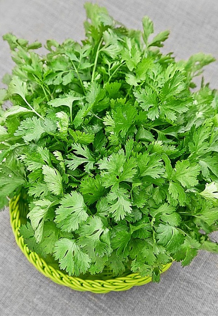 Кориандр (кинза) Янтарь овощной 2 гр ц.п