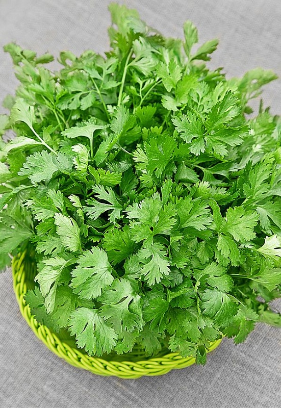 Кориандр (кинза) Янтарь овощной 2 гр ц.п