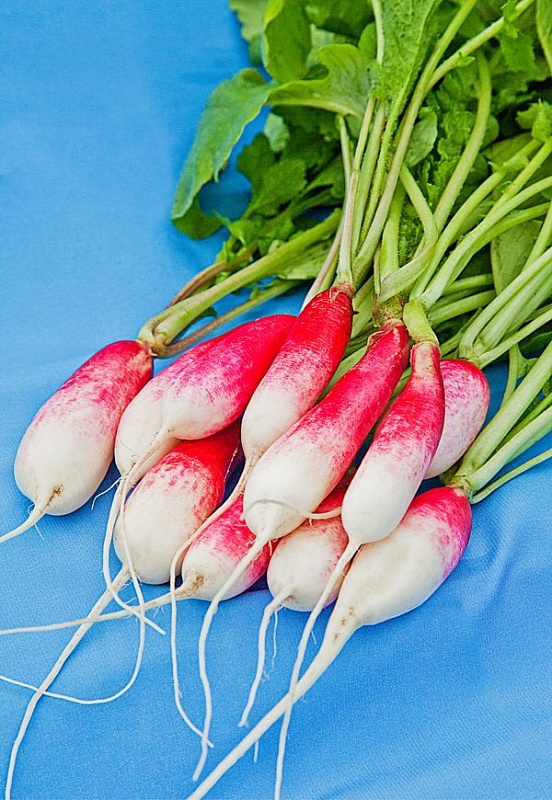 Редис Французский завтрак 3 гр б.п.