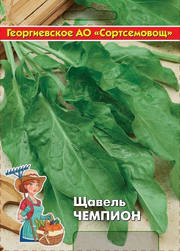 Щавель Чемпион 5 гр цв.п (Сортсемовощ)