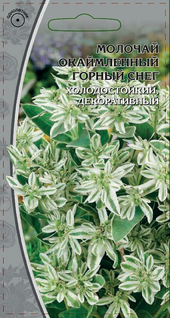 Молочай окаймленный Горный снег  0,5 гр