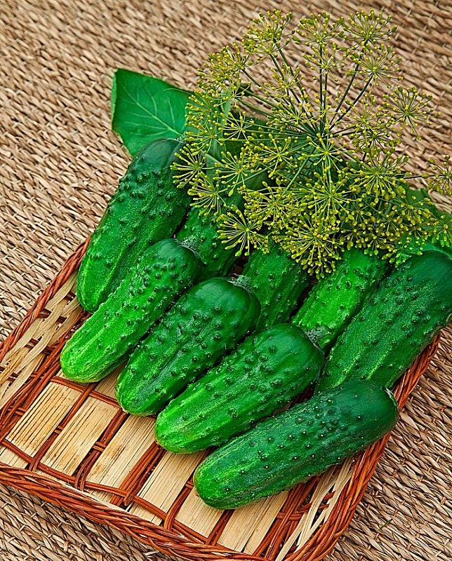 Огурец-корнишон ВЕРНЫЕ ДРУЗЬЯ F1 и Салат листовой БУКЕТ