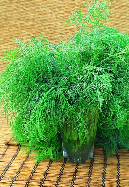 Укроп Зеленый залп (Селекция "ВХ") 2 гр. цв.п.