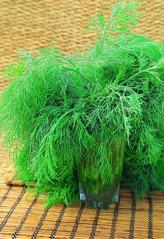 Укроп Зеленый залп (Селекция "ВХ") 2 гр. цв.п.