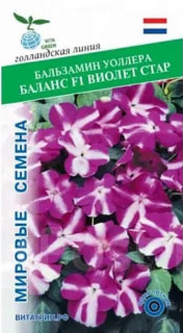 Бальзамин Уоллера Баланс F1 Виолет Стар (Hemgenetics) 10 шт