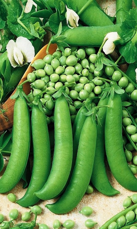 Горох Медовая горошина (УД) 5 гр цв.п.