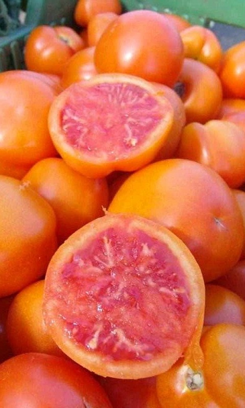 Томат Оранжевый закат (УД) 12 шт. цв.п