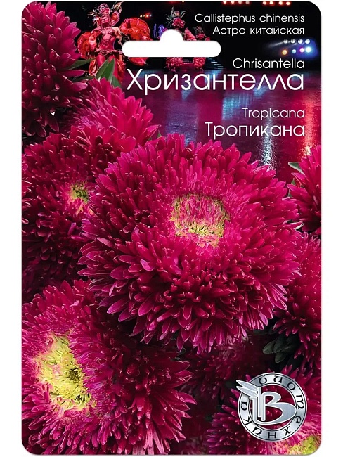 Астра Хризантелла Тропикана 30 шт