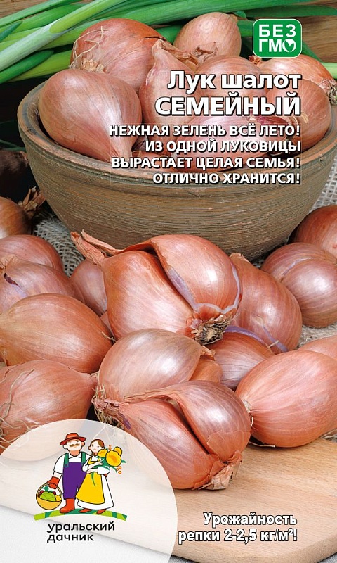 Лук шалот Семейный (УД) 0,25гр. цв.п.