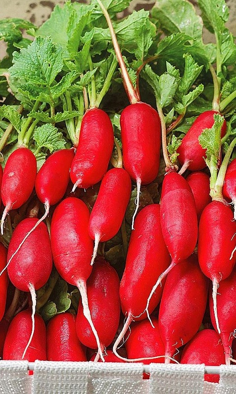 Редис Весеннее чудо (УД) 2 гр цв.п.